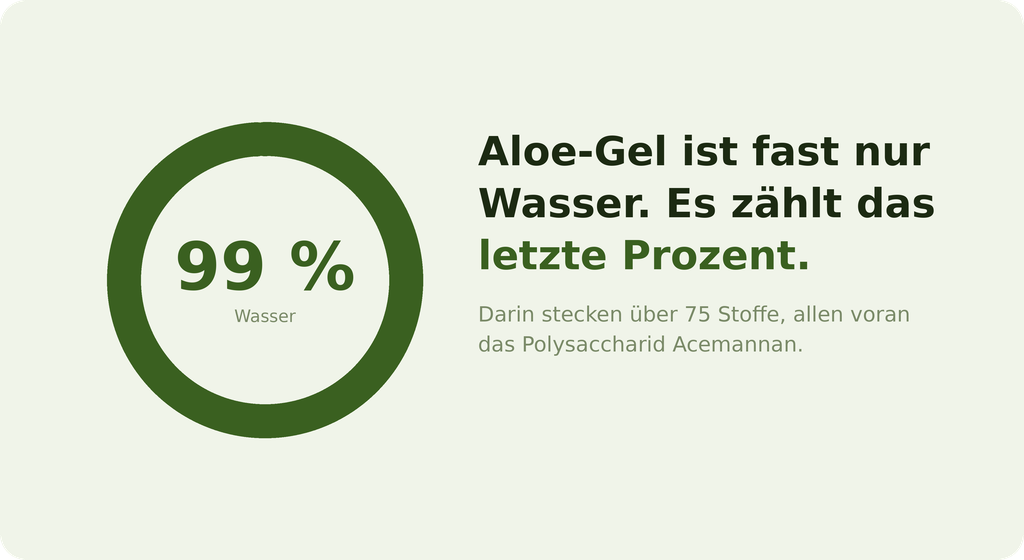 Grafik: Aloe-Gel besteht zu 99 % aus Wasser, im letzten Prozent stecken über 75 Inhaltsstoffe