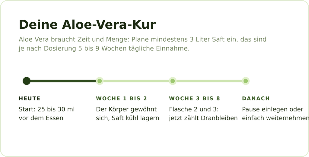 Grafik: Deine Aloe-Vera-Kur in vier Schritten von heute bis nach Woche 8