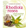 Rhodiola rosea (Buch)