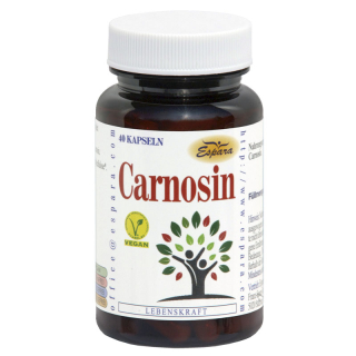 Espara Carnosin (40 Kps.)