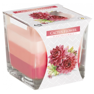 Scented Candle Rainbow Jar Cactus Flower (1 pc.)