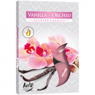 Teelichter Duft Vanille-Orchidee (6er)