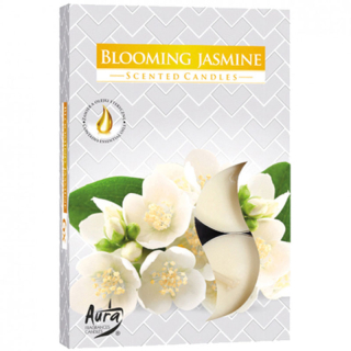Scented Candles Blooming Jasmine (6 pcs)