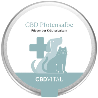 CBD Paw Ointment for Animals (100ml)