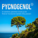 Kr&auml;uterhaus Pycnogenol&reg; 100 mg + Vitamin C (42 Kps.)
