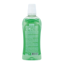 Elina Mundsp&uuml;lung Mint Fresh 3in1 (500ml)